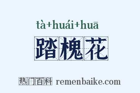 踏槐花是什么意思的图片